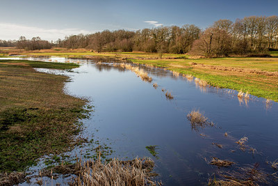 BUITEN BEELD Foto: 416286