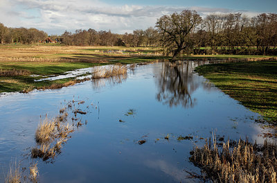 BUITEN BEELD Foto: 416287