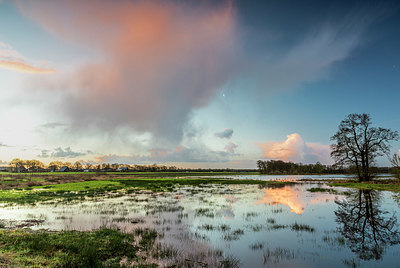 BUITEN BEELD Foto: 416290