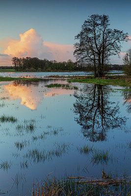 BUITEN BEELD Foto: 416291