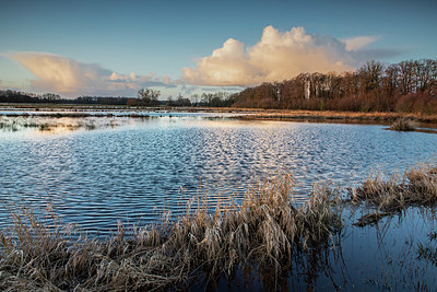 BUITEN BEELD Foto: 416293