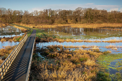 BUITEN BEELD Foto: 416294