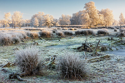 BUITEN BEELD Foto: 416303