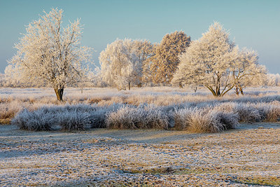 BUITEN BEELD Foto: 416306