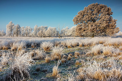 BUITEN BEELD Foto: 416308