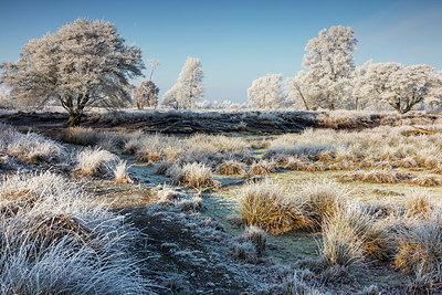 BUITEN BEELD Foto: 416316