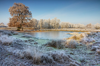 BUITEN BEELD Foto: 416317