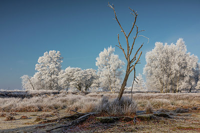 BUITEN BEELD Foto: 416321