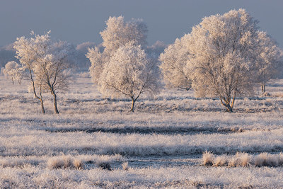 BUITEN BEELD Foto: 416323