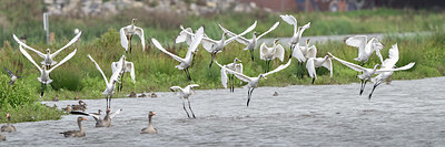 BUITEN BEELD Foto: 416357