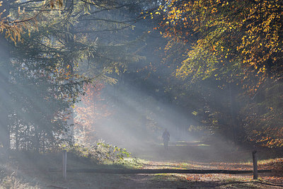 BUITEN BEELD Foto: 416405