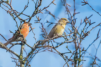 BUITEN BEELD Foto: 416489