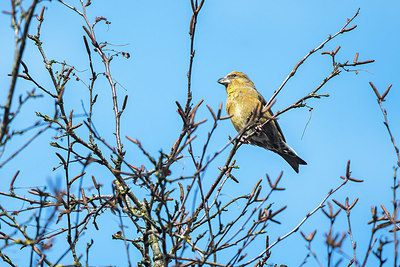 BUITEN BEELD Foto: 416492