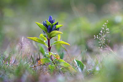 BUITEN BEELD Foto: 416515