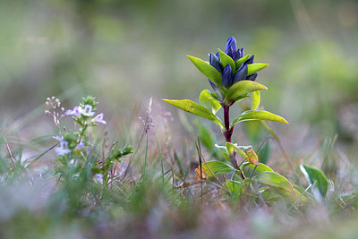 BUITEN BEELD Foto: 416517