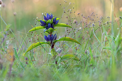 BUITEN BEELD Foto: 416521