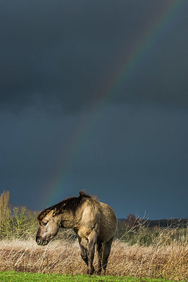 BUITEN BEELD Foto: 416543