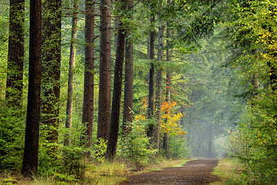 BUITEN BEELD Foto: 416566