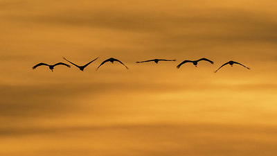 BUITEN BEELD Foto: 416574