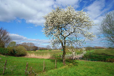 BUITEN BEELD Foto: 416578