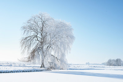 BUITEN BEELD Foto: 416579