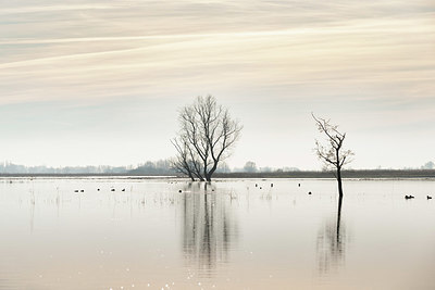 BUITEN BEELD Foto: 416580