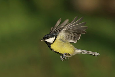 BUITEN BEELD Foto: 416597