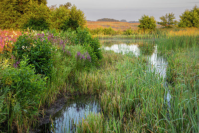 BUITEN BEELD Foto: 416674