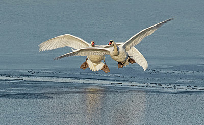 BUITEN BEELD Foto: 416678