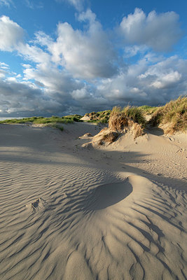 BUITEN BEELD Foto: 416715