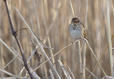 BUITEN BEELD Foto: 416724