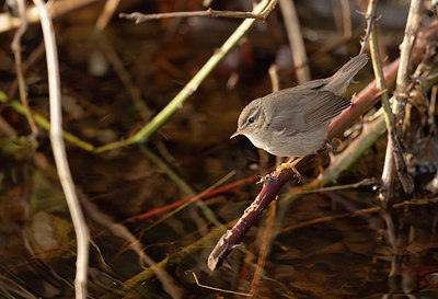 BUITEN BEELD Foto: 416804