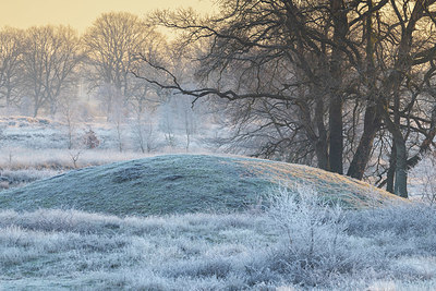 BUITEN BEELD Foto: 416914