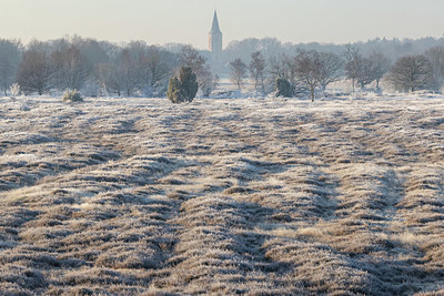 BUITEN BEELD Foto: 416917