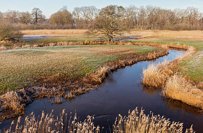 BUITEN BEELD Foto: 416922