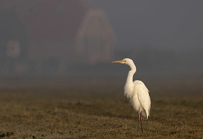 BUITEN BEELD Foto: 416927