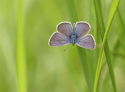 BUITEN BEELD Foto: 416985