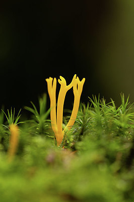 BUITEN BEELD Foto: 416988