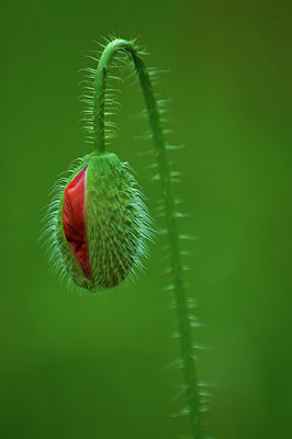 BUITEN BEELD Foto: 417110