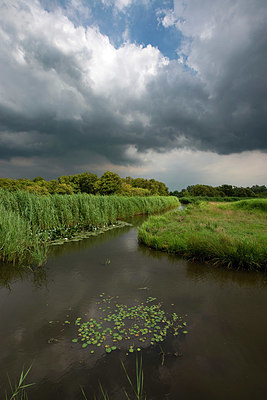 BUITEN BEELD Foto: 417122