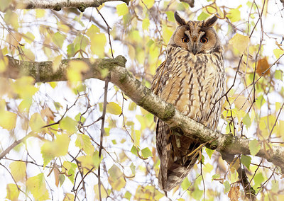 BUITEN BEELD Foto: 417123