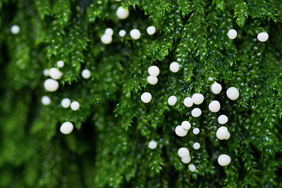 BUITEN BEELD Foto: 417180