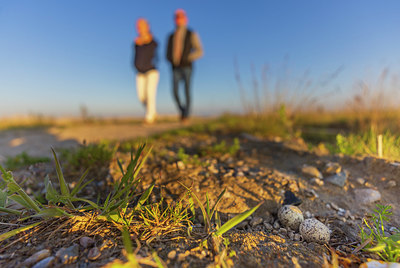 BUITEN BEELD Foto: 417277