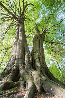 BUITEN BEELD Foto: 417344