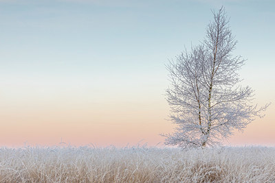 BUITEN BEELD Foto: 417378