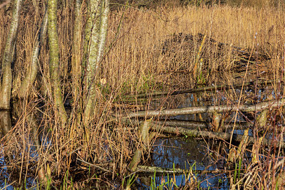 BUITEN BEELD Foto: 417392