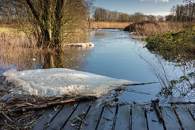 BUITEN BEELD Foto: 417399