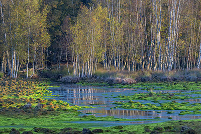 BUITEN BEELD Foto: 417413