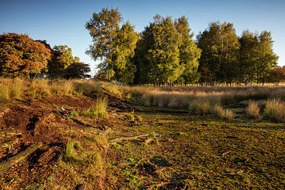 BUITEN BEELD Foto: 417414