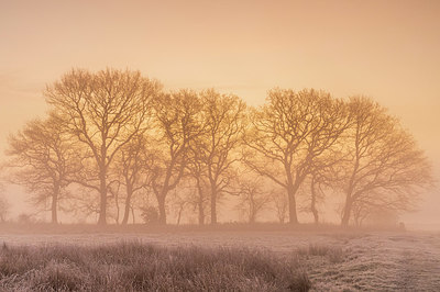 BUITEN BEELD Foto: 417417